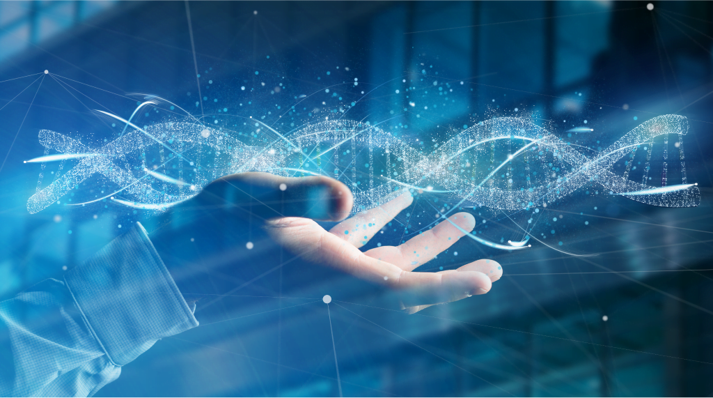 Qual o DNA da sua empresa?