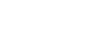 Consulting Blue - logo branco 2